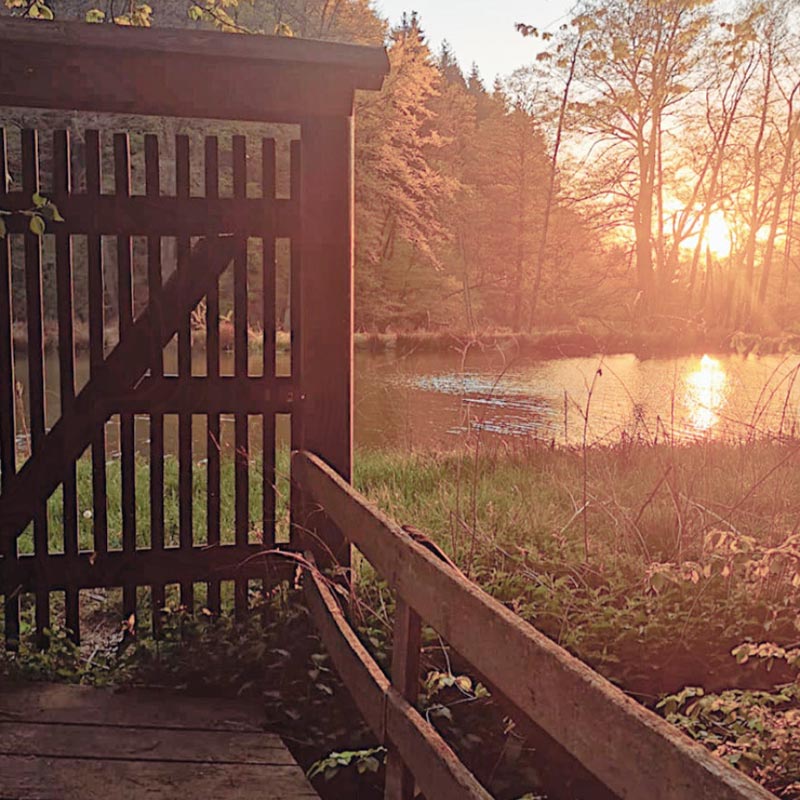 Den Westerwald erleben. Ferien in der Mausmühle. Den Westerwald erleben. Ferien in der Mausmühle.