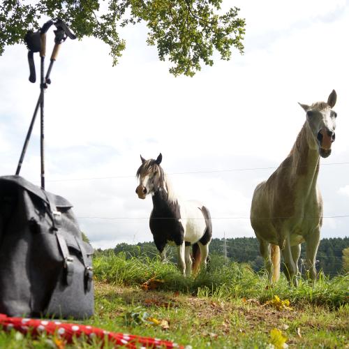 Den Westerwald erleben.