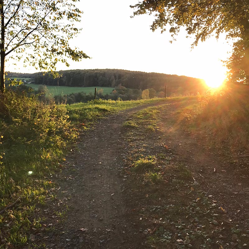 Wandern im Westerwald Wandern im Westerwald
