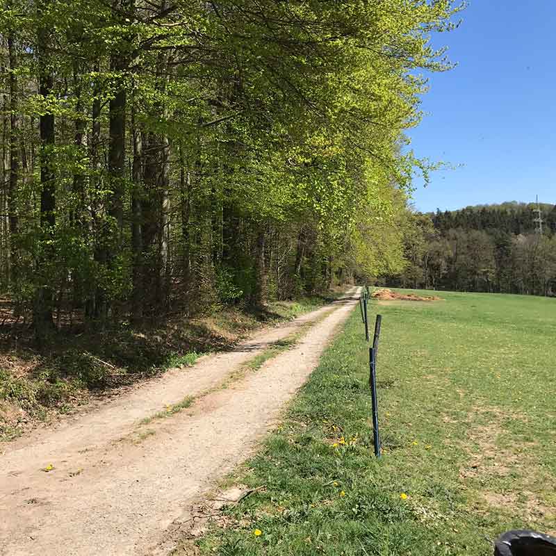 Wandern im Westerwald Wandern im Westerwald