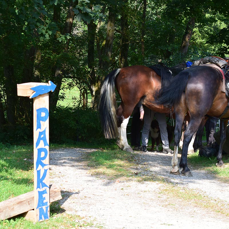 Wandern zu Pferd im Westerwald Übernachten in der Pension Mausmühle im Westerwald